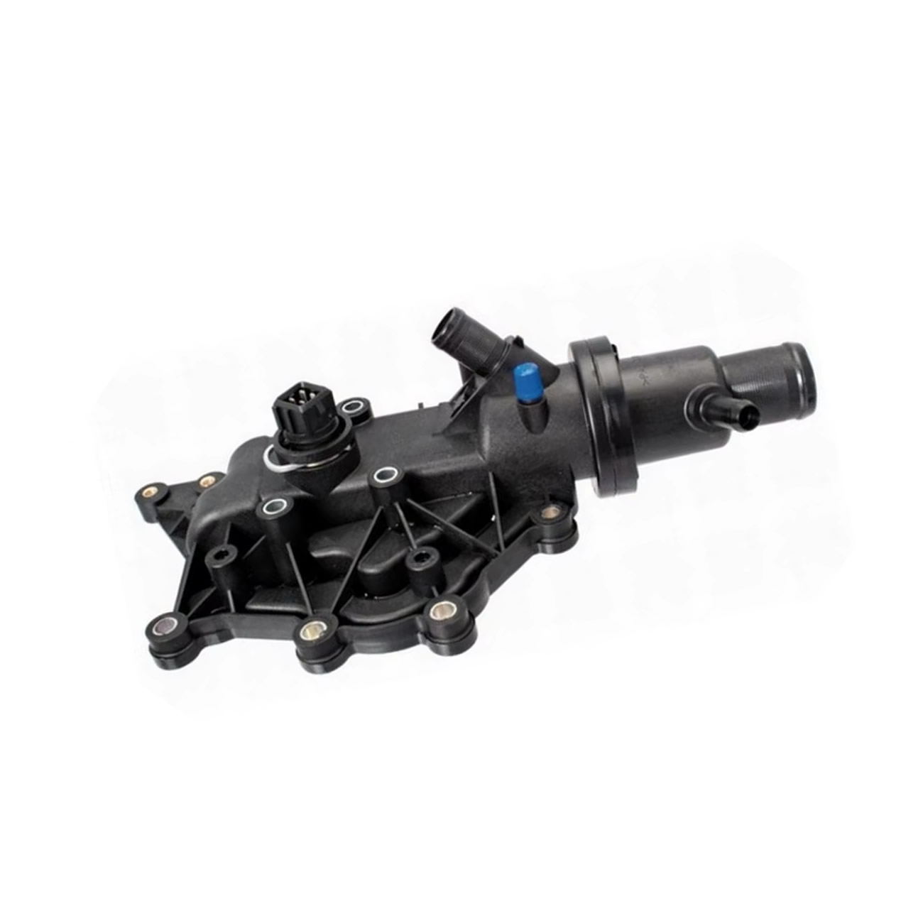 Termostato Completo Renault Clio Laguna Symbol 1.6