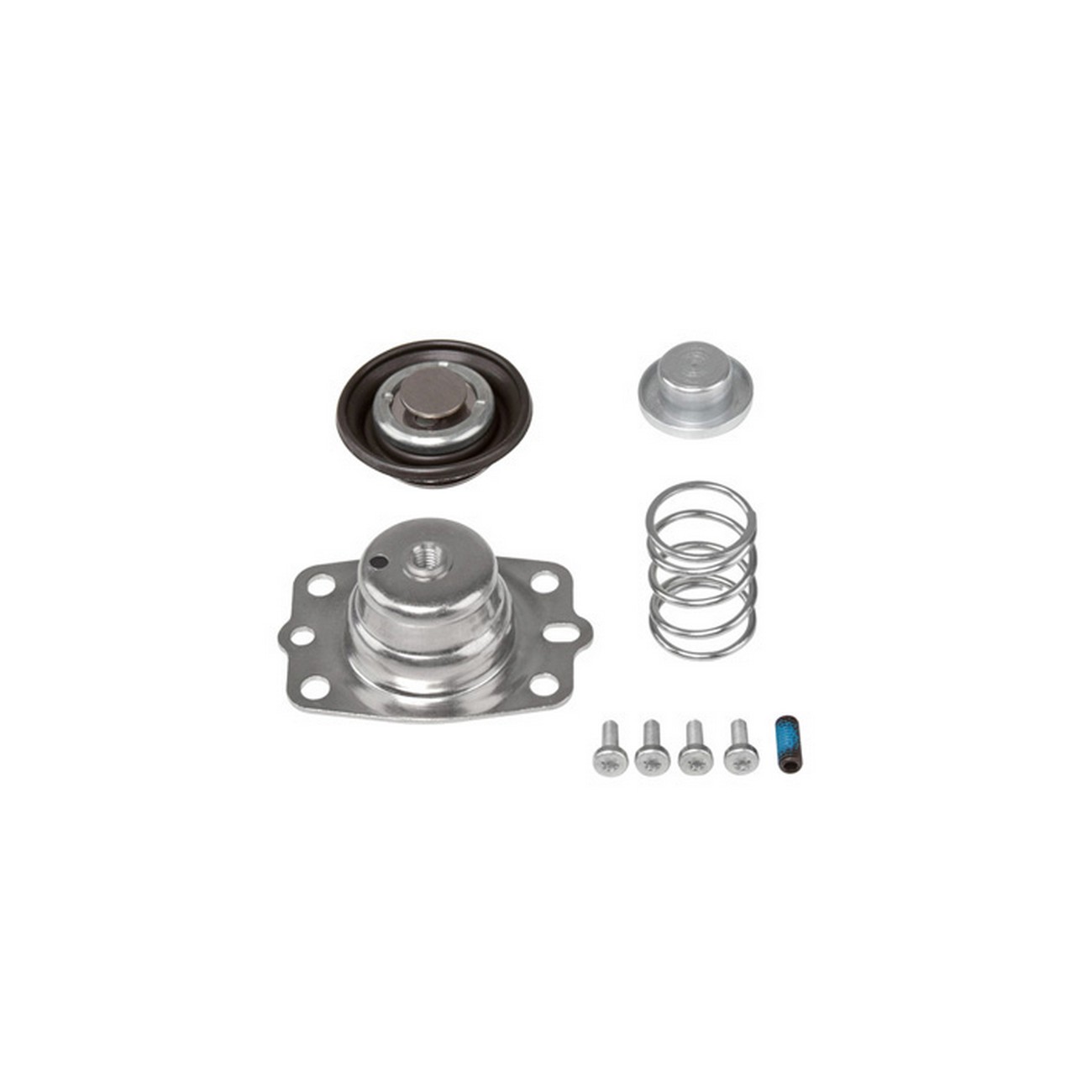 Kit Regulador Presion Monopunto Chev Blazer Delphi