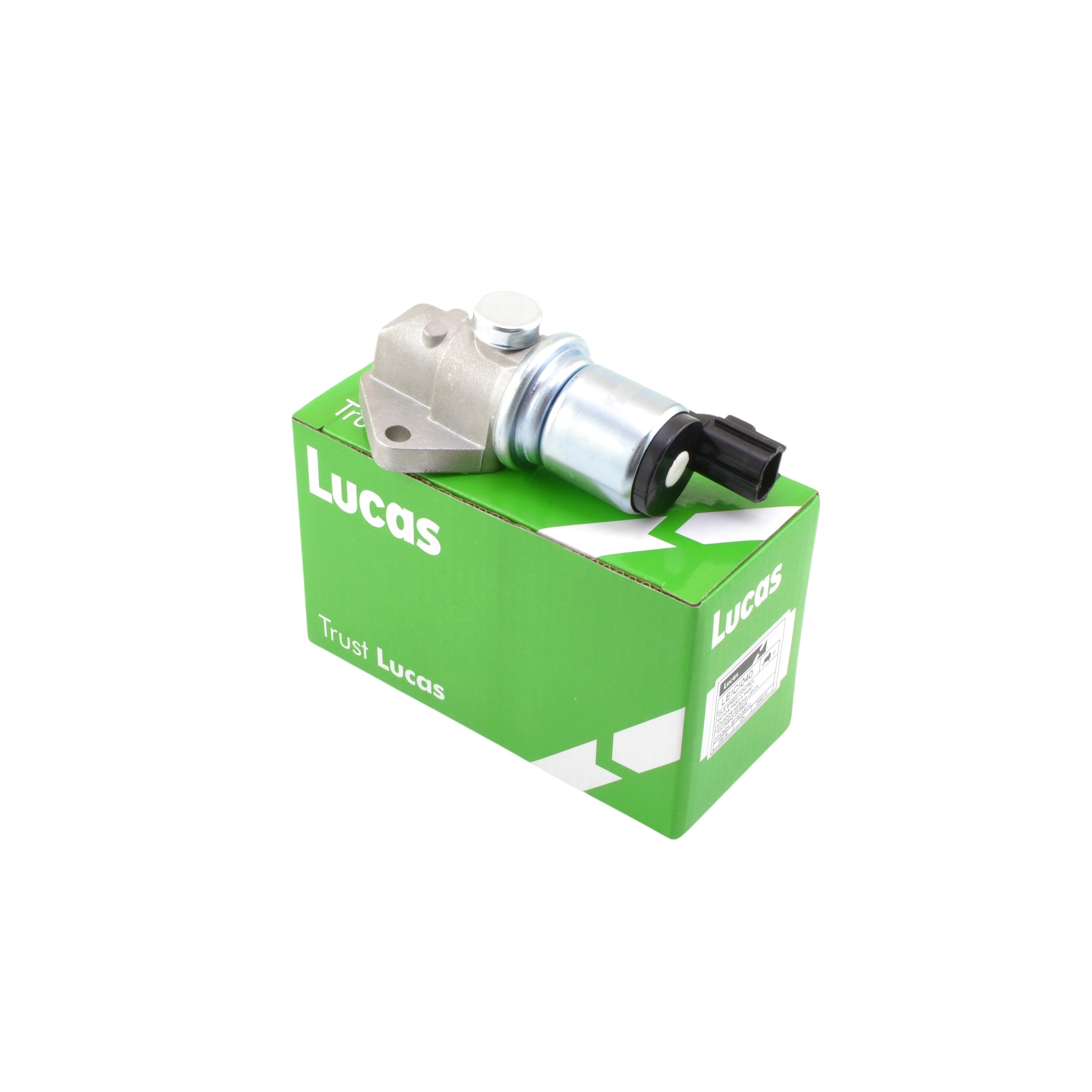 Paso A Paso Ford Focus 1.8 16v 2.0 16v Zetec