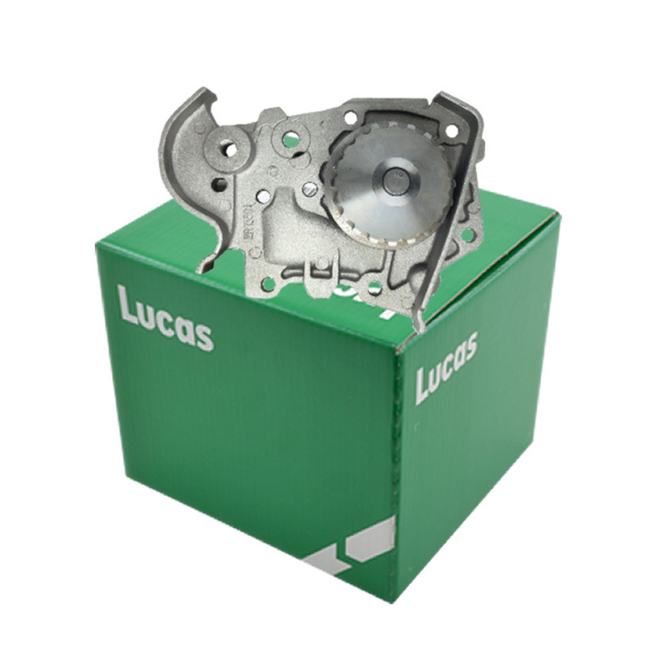 Bomba De Agua Renault Scenic Kangoo Megane 1.4 1.6 K7j K7m