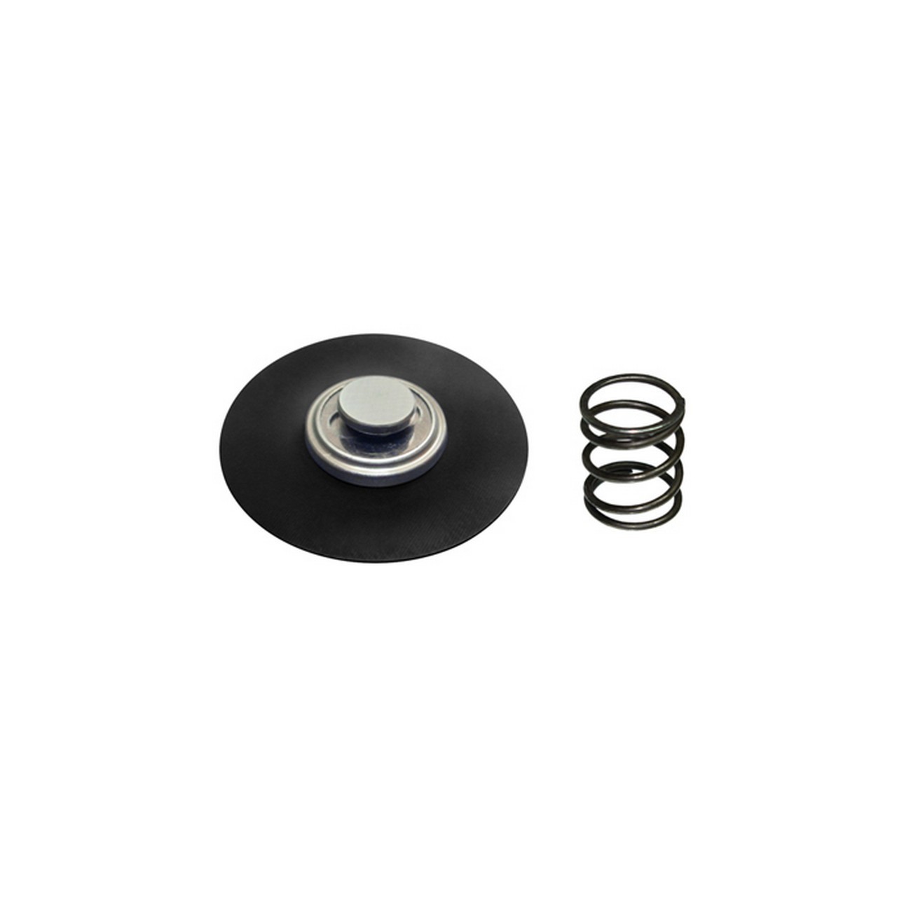 Kit Regulador Presion Para Monopunto Bosch Diafragma Resorte