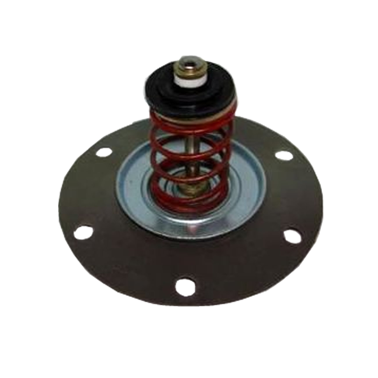 Diafragma Castro Renault 9 11 12 Bomba Carcion