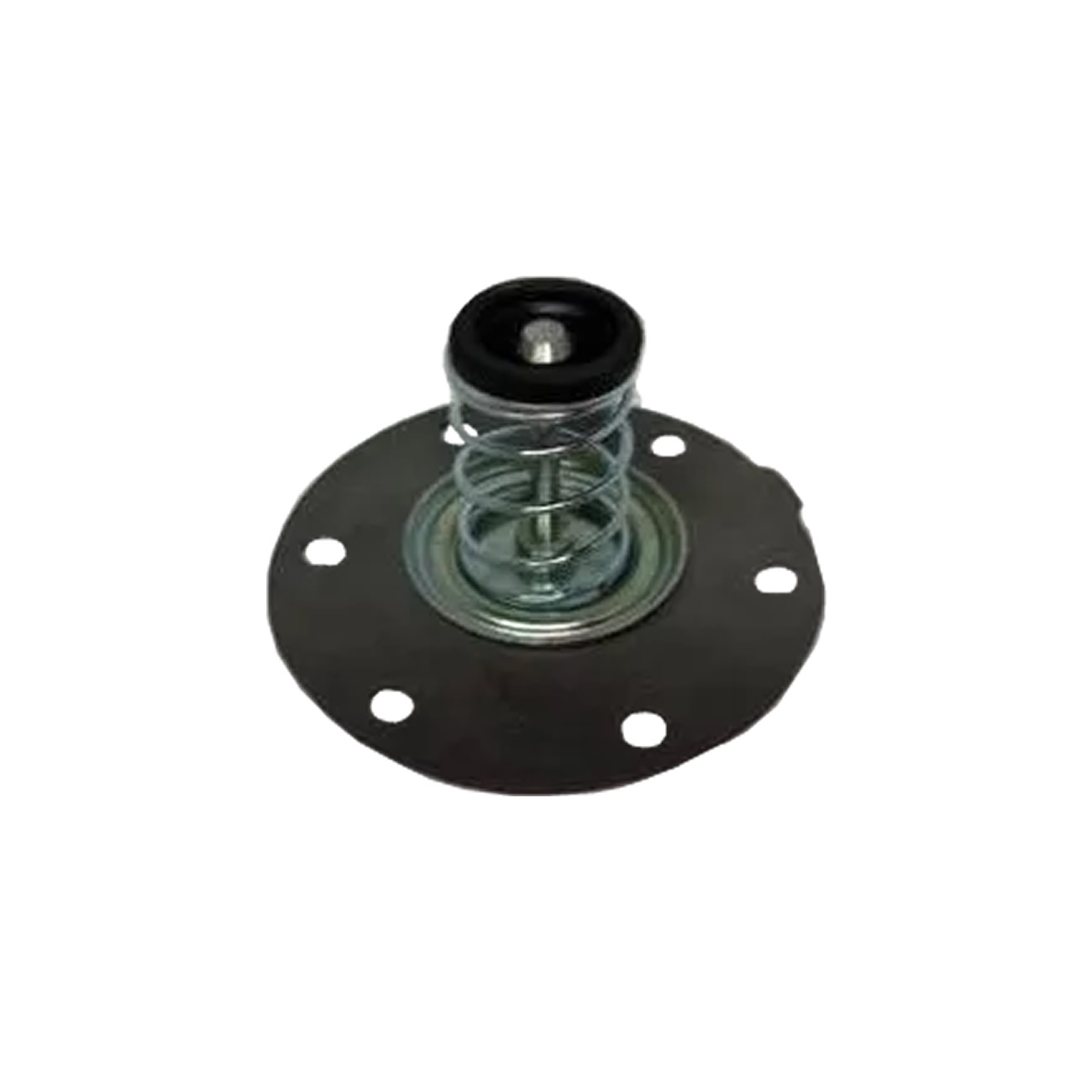 Diafragma Bomba De Nafta Carcion  Renault 12 1400