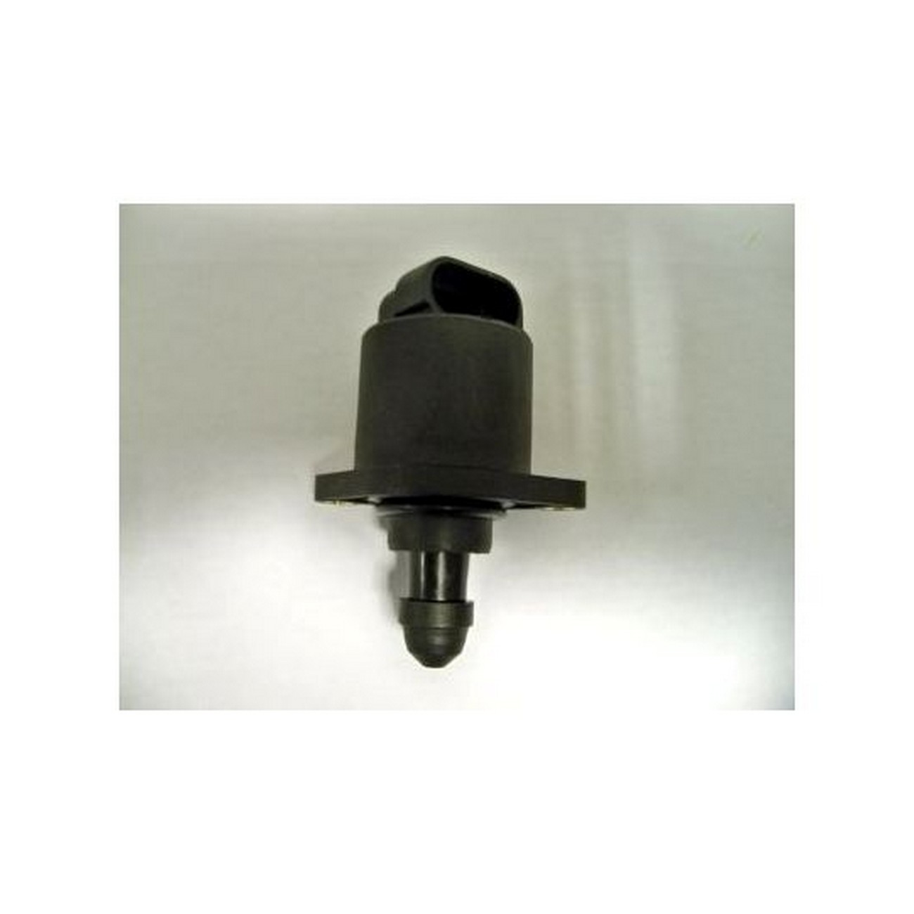 Paso A Paso Iac Ralenti Bosch Peugeot 206 306 1.6 8v